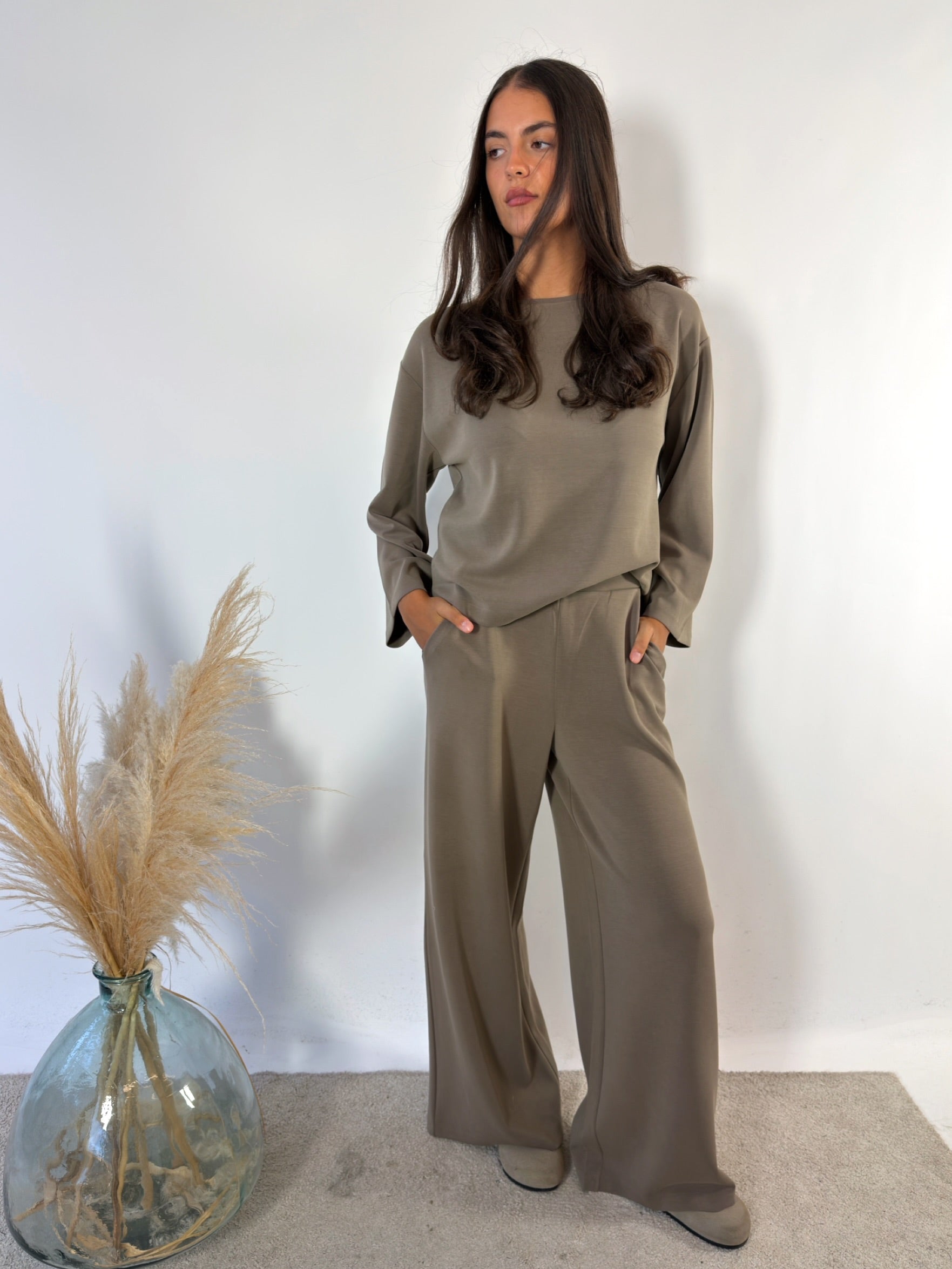 Completo Modal Taupe Surkana