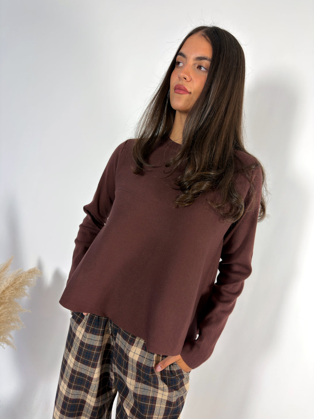 Maglia Ruota Compania Fantastica Marrone